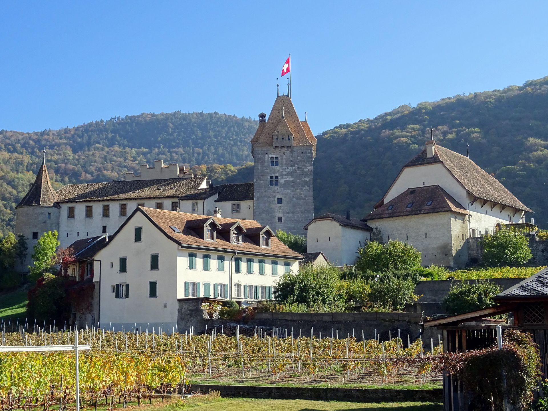 Château d'Aigle